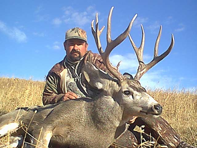 Photo of Alberta trophy Mule Deer