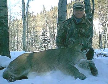Photo of Mountain Lion - Tom Budd 165 lb Alberta cougar