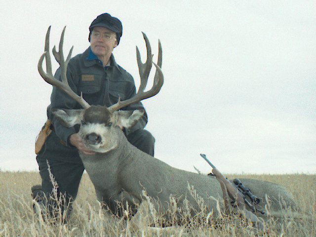 Photo of Robert's big buck mule deer