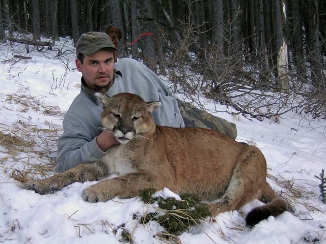 Photo of Rod Moench's 2004 Alberta Trophy cougar