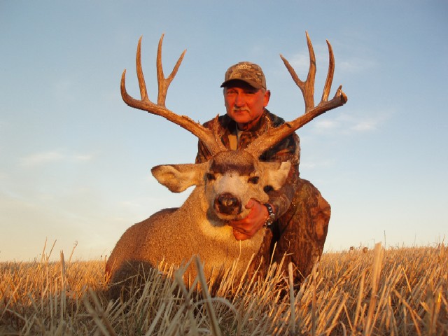 Photo of Mike Flashman's 2005 Alberta Trophy mule deer