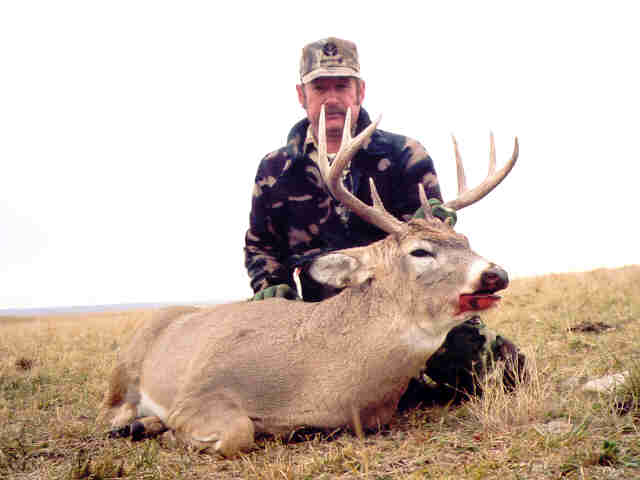 Photo of Ron Ward's 2005 Alberta Trophy whitetail buck