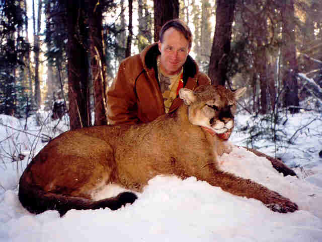 Photo of Mountain Lion - Scott Burnett's 157 lb Alberta cougar 15 2/16 Boone and Crockett score