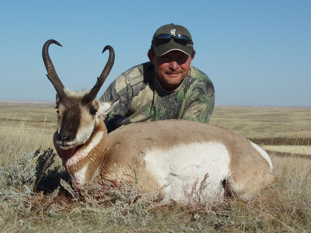 Photo of Alan Laing's Alberta Pronghorn Antelope