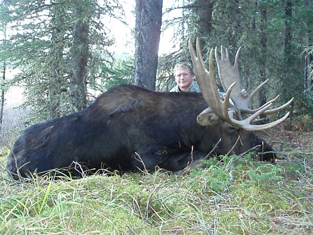 Photo of Brandon Laing's 2008 Alberta mountain moose