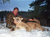 photo of 174 lb mountain lion | trophy cougar