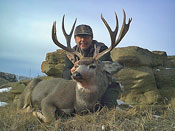 photo of big 192 b&c trophy mule deer buck