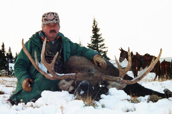 Photo of 52 inch Moose