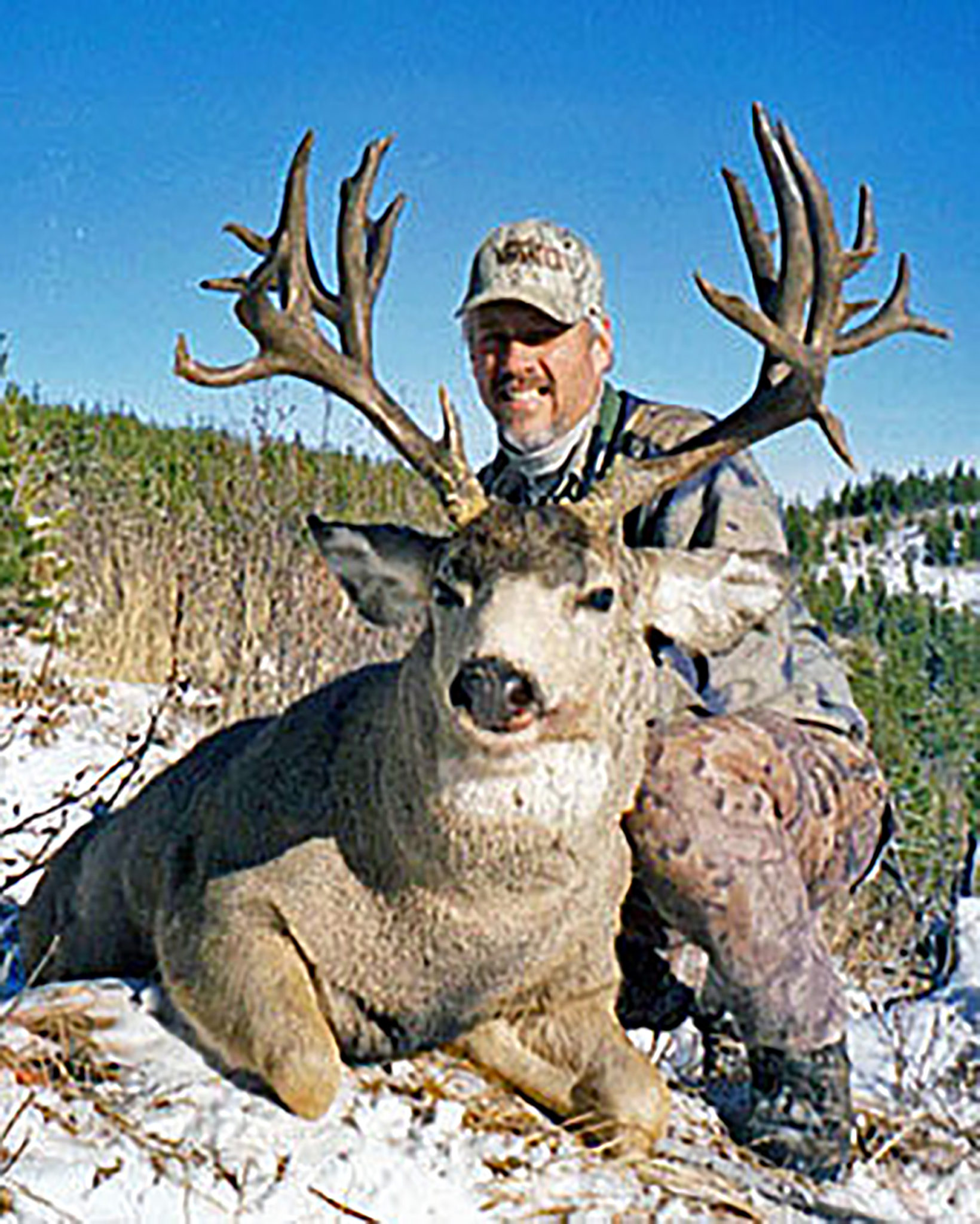 Trophy Mule Deer Hunt Alberta Hunt