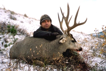 trophy mule deer hunt