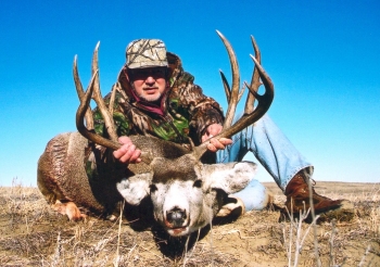 trophy mule deer hunt