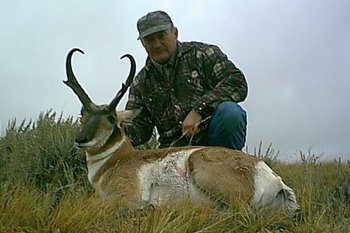 Trophy Pronghorn Hunt