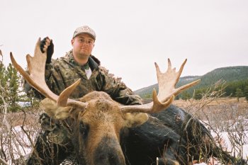 Trophy Moose Hunt