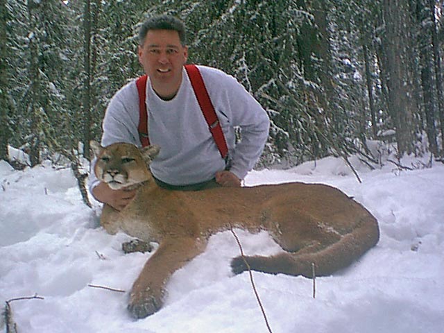 Trophy Cougar Hunt
