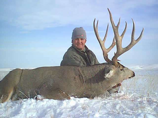 trophy mule deer hunt