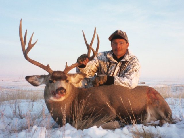 Trophy Mule Deer Hunt