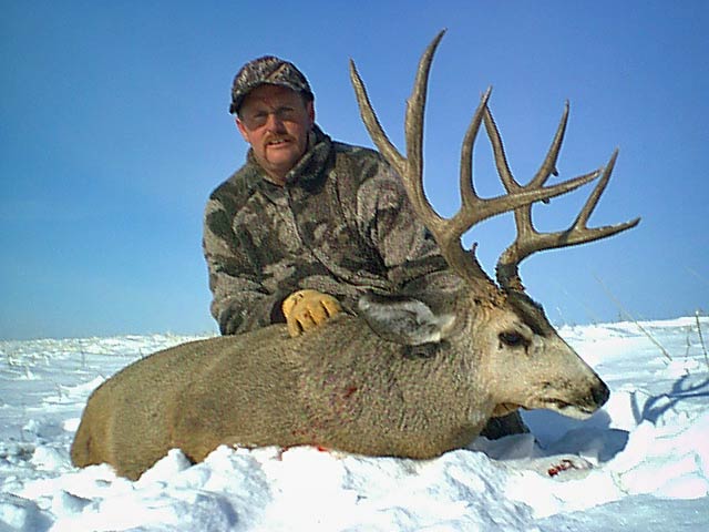 trophy mule deer hunt