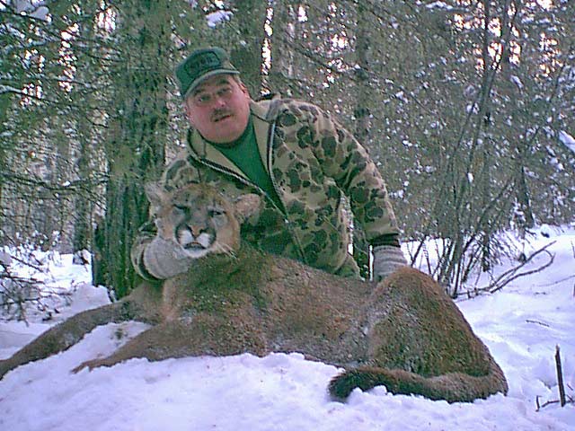 Trophy Cougar Hunt