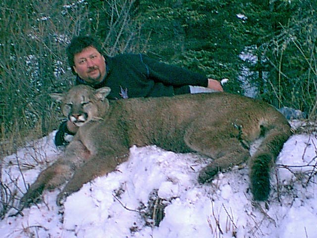 Trophy Cougar Hunt