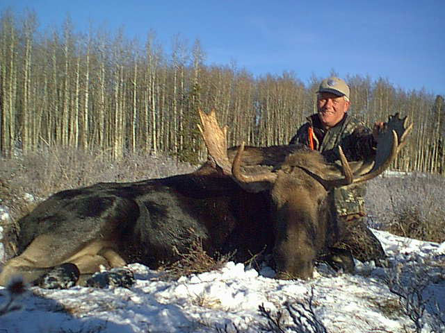 Trophy Moose Hunt