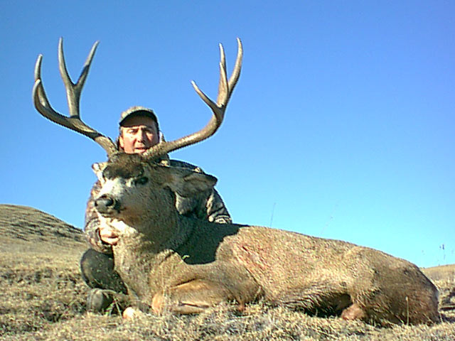 trophy mule deer hunt