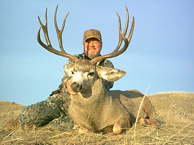 Trophy Mule Deer Hunt