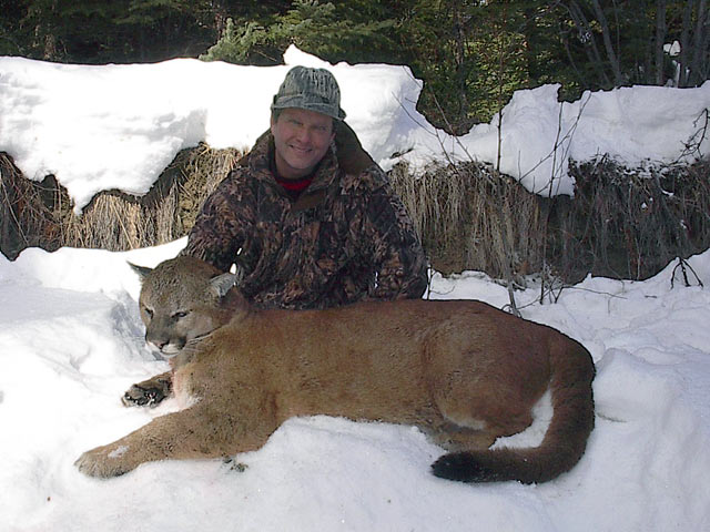 Trophy Cougar Hunt