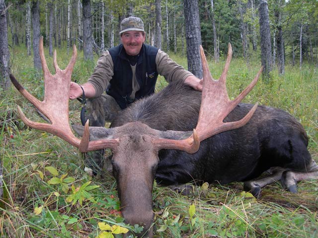 trophy moose hunt