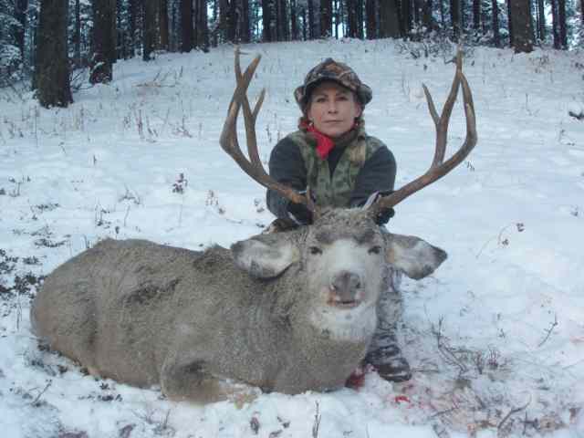 Trophy Mule Deer Hunt