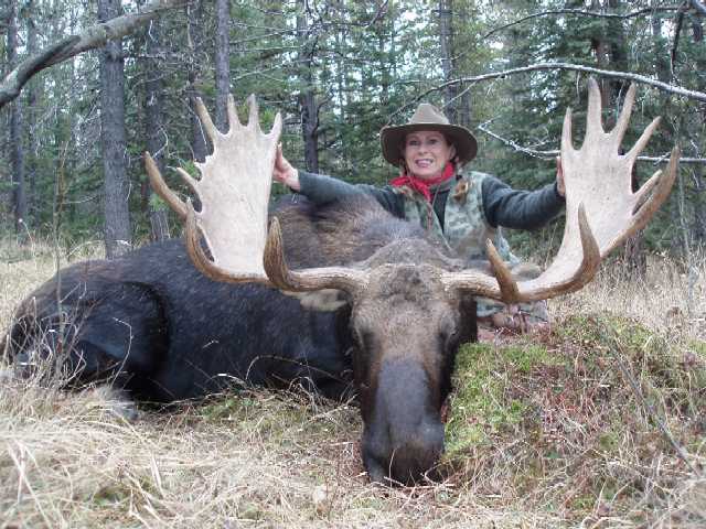 Trophy Moose Hunt