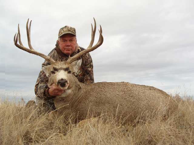 Trophy Mule Deer Hunt