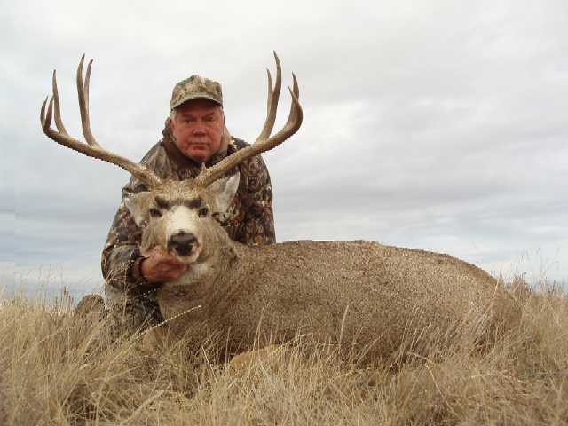 Trophy Mule Deer Hunt