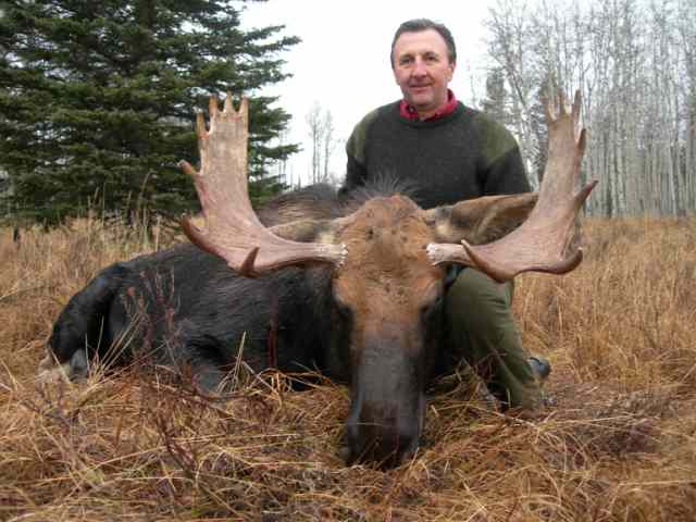 trophy moose hunt