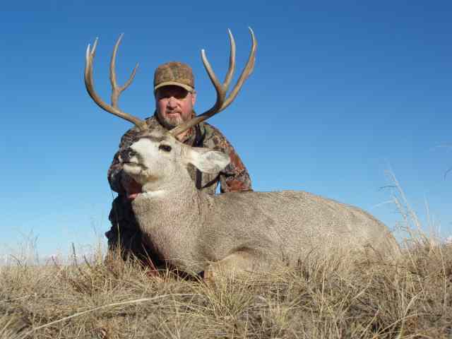 Trophy Mule Deer Hunt