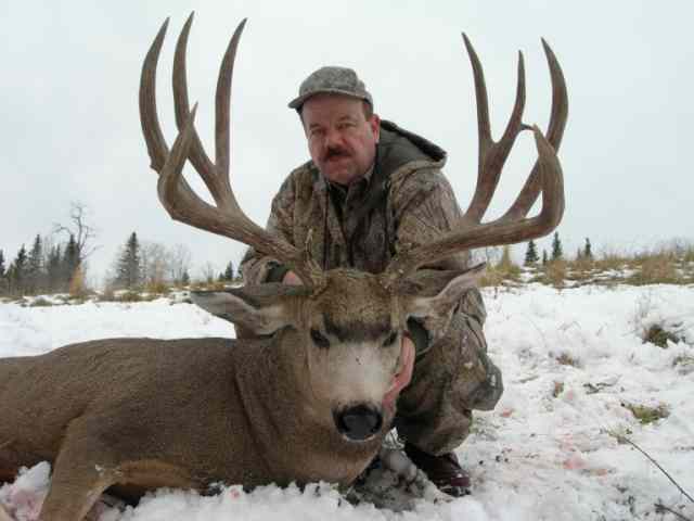 Trophy Mule Deer Hunt