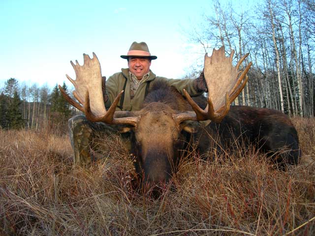 trophy moose hunt