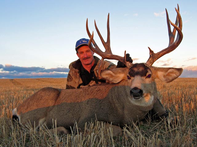 Trophy Mule Deer Hunt