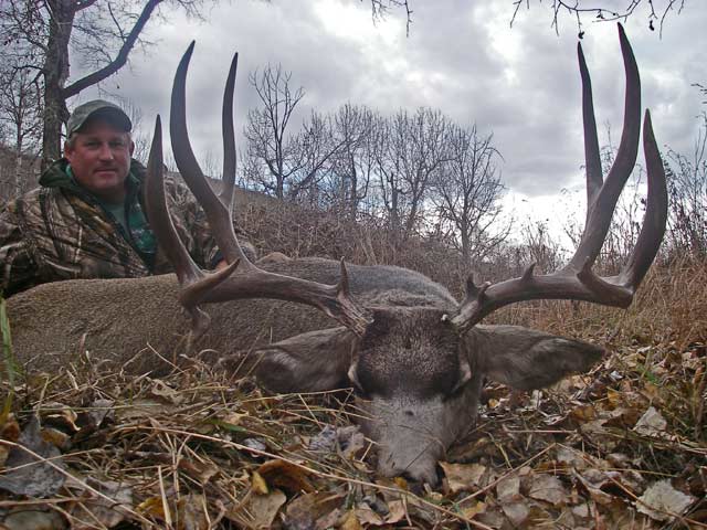 Trophy Mule Deer Hunt