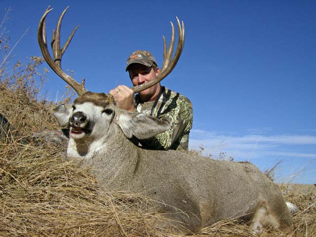 Trophy Mule Deer Hunt