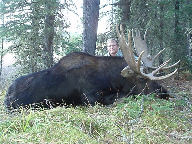 trophy moose hunt