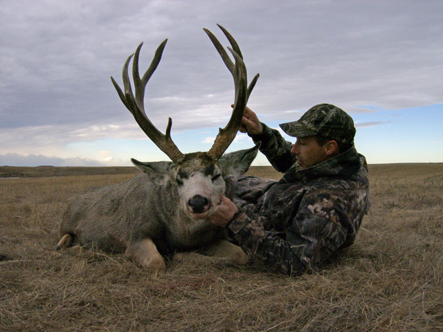 Trophy Mule Deer Hunt