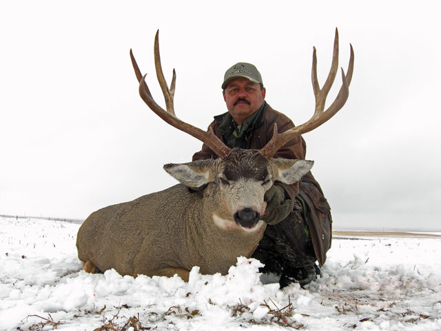 Trophy Mule Deer Hunt