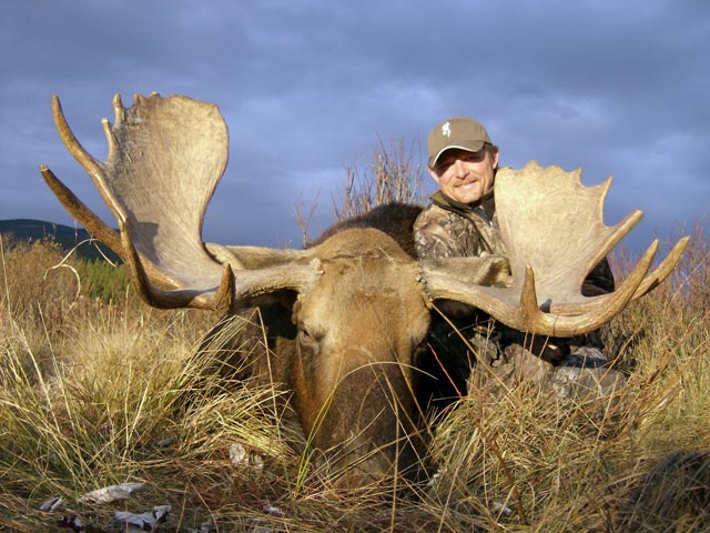 trophy moose hunt