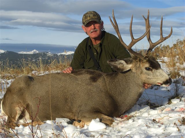 Trophy Mule Deer Hunt