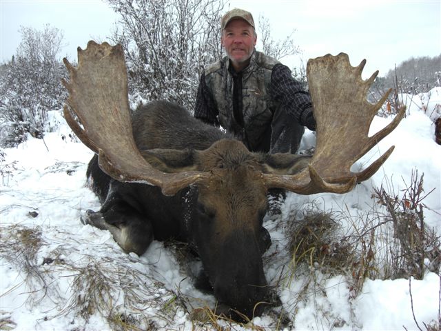 trophy moose hunt