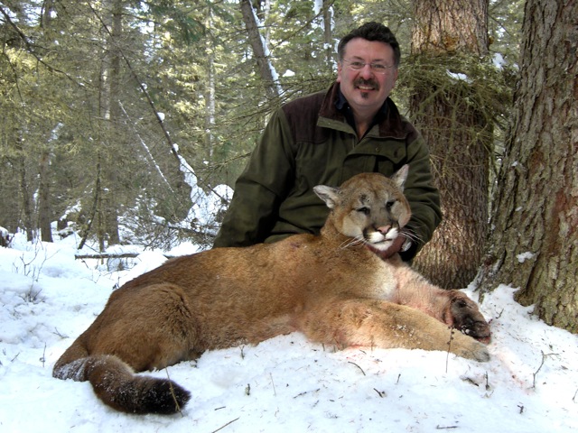 trophy cougar hunt