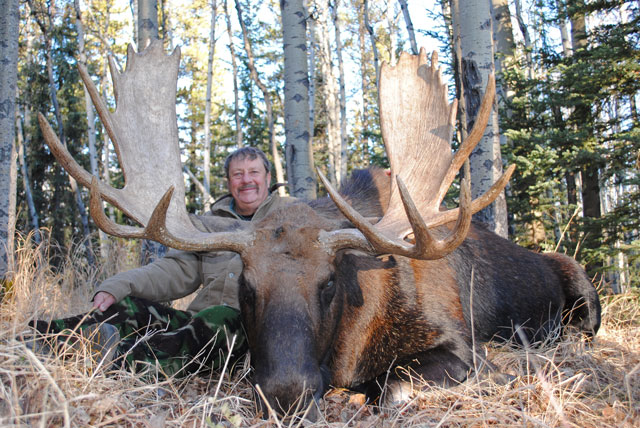 trophy moose hunt