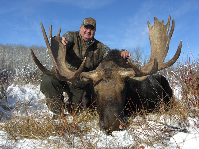 trophy moose hunt