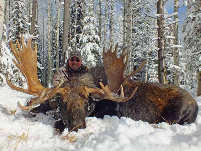 trophy moose hunt