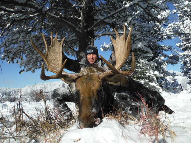 trophy moose hunt